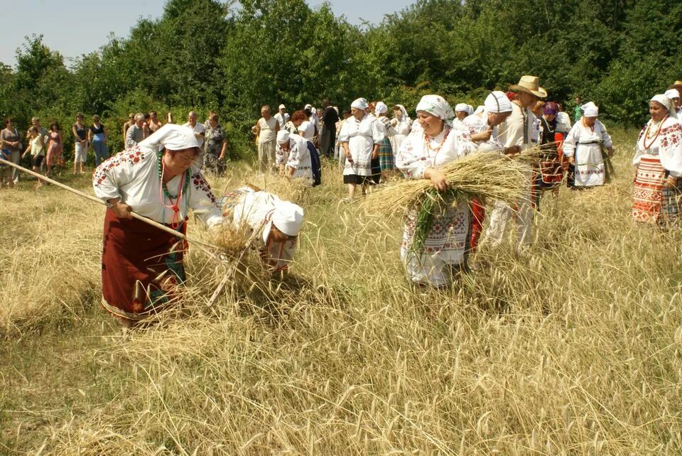 Мать урожая. Обжинки - Дожинки. Обжинки 28 августа. Зажинки Обжинки Спожинки. Обжинки праздник у славян.