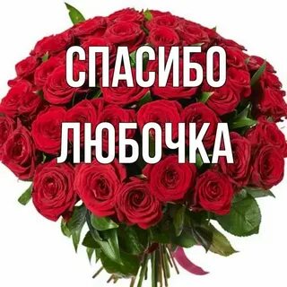 Спасибо большое ты самый лучший