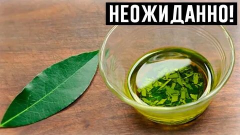 Лечение цистита лавровым листом