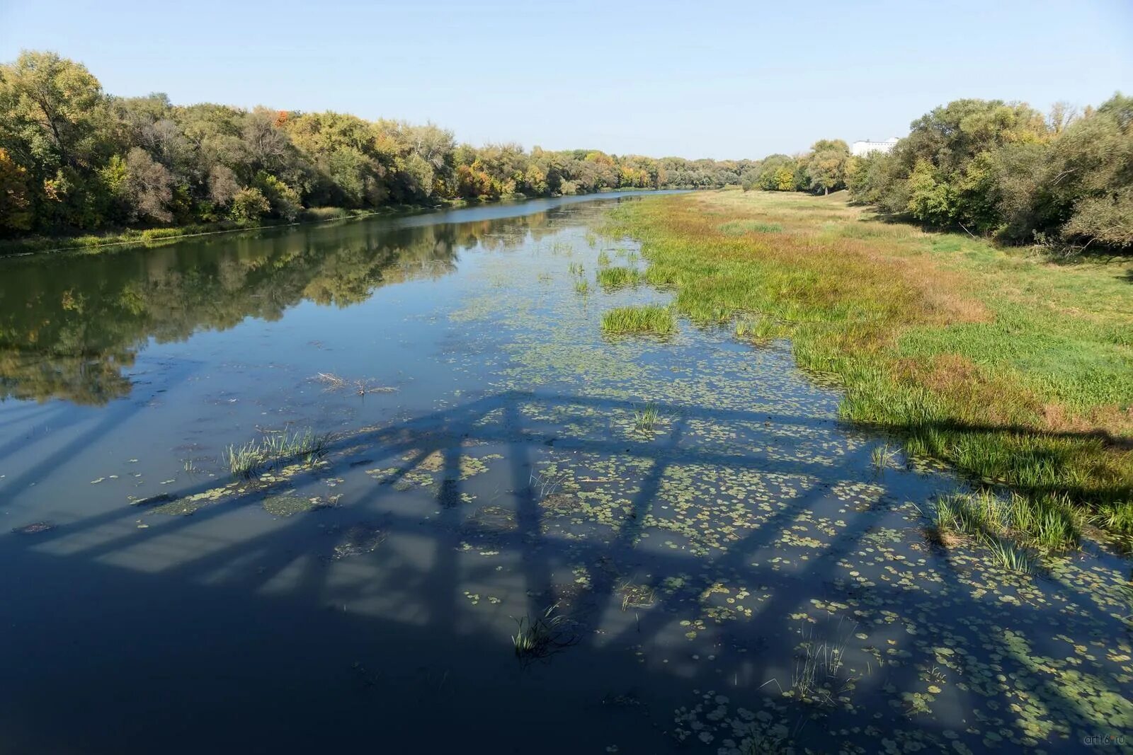 Уровень воды в хопре на сегодня балашов. Саратовская область мост Хопер. Река Хопер Балашов. Балашов мост через Хопер. Река Хопер Саратовская область.