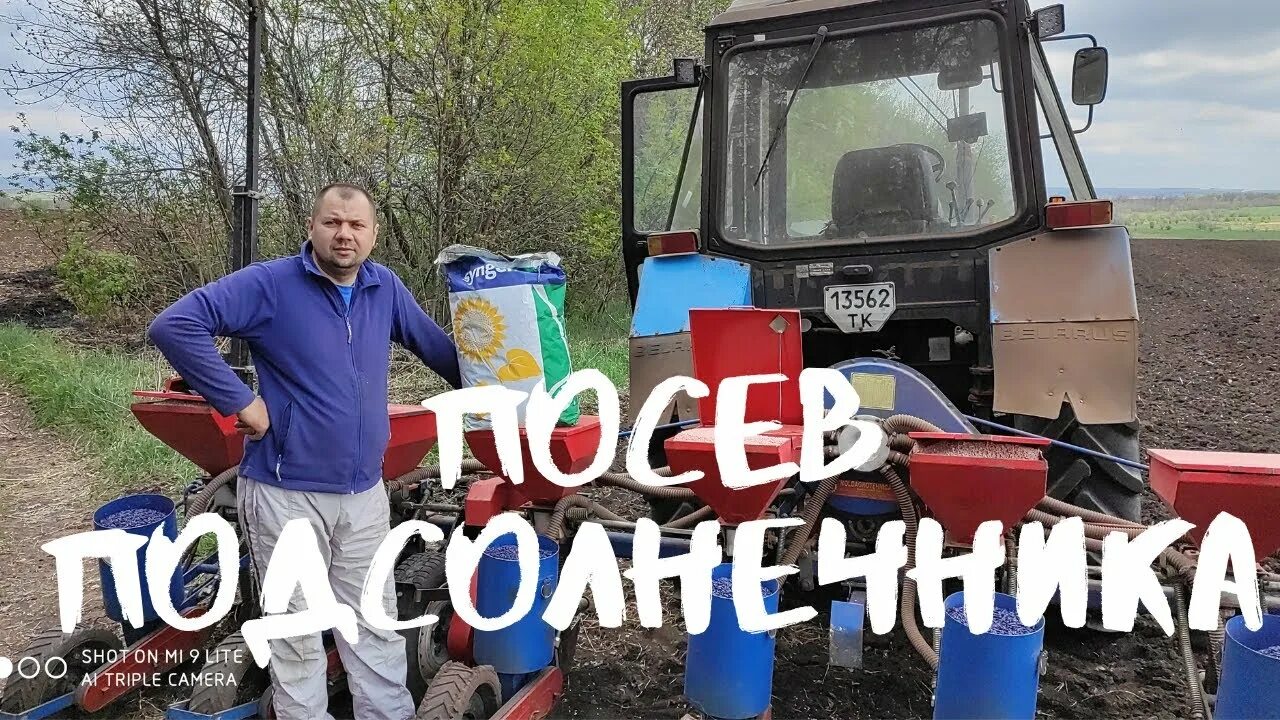 При посеве подсолнечника на 1000