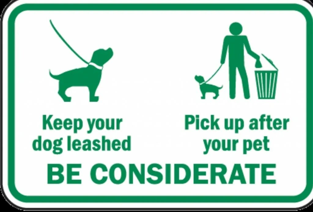 Keep Pets Leashed знак. Доги Клин. Cleaning Dog. Clean up after your Dog. After your pet