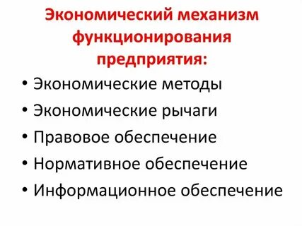 Основы функционирования организационные экономические и правовые