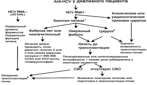 Гепатит с Anti-HCV. Анализ анти HCV положительный. Anti-HCV, антитела. Anti-HCV IGG В крови. Hcv ns