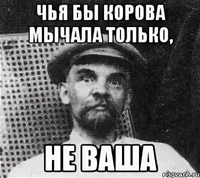Чья бы корова мычала