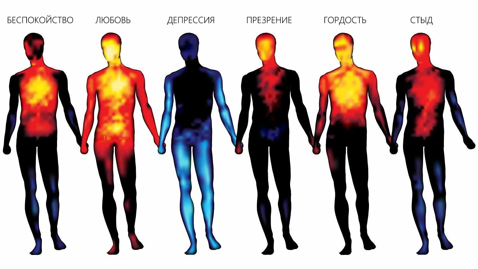 Где проявляется человек. Тепловая карта эмоций человека. тепловая карта человека. тепловая карта эмоций в теле человека. тепловизор эмоции человека.