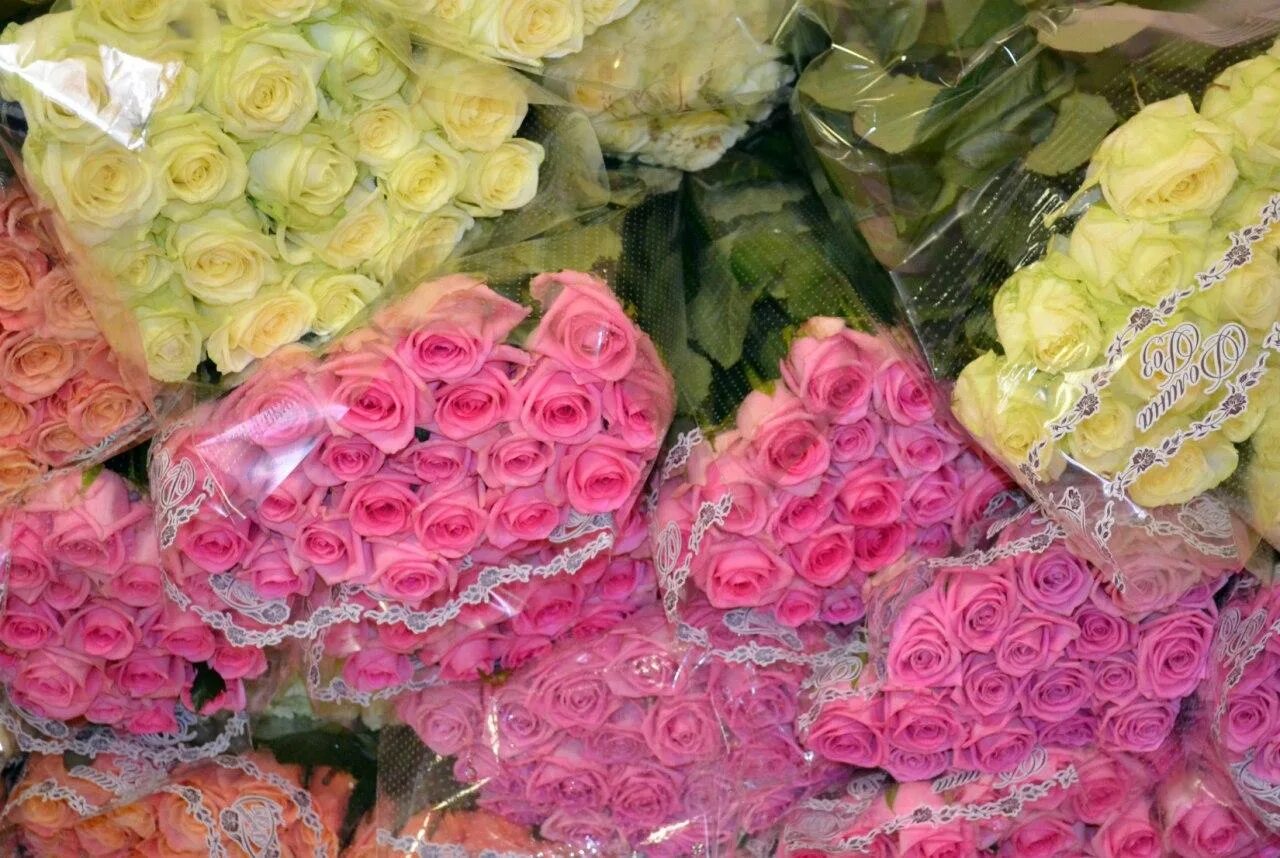 Долина роз туймазы. Тепличные розы. Розы в Арамашево Свердловской. Арамашево Долина роз теплицы роз.