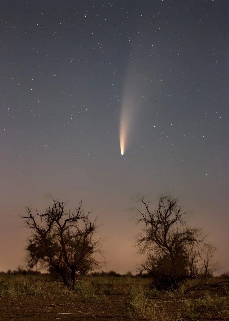 Комета будет видна. Комета 2020. Хвостатая Комета 1998. Комета неовайз в Астрахани. Комета 11.