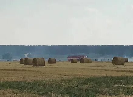 Очевидец август