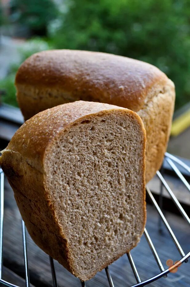 таков хлеб. формовой хлеб. хлеб из русской печи. хлеб цельнозерновой бездрожжевой. серый хлеб.