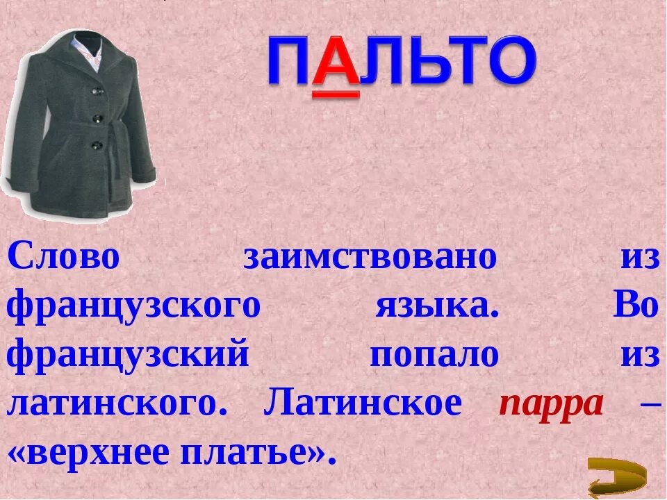 Число слова одежда. Формы пальто. палььо слово. названия пальто. заимствованные слова на тему одежда.