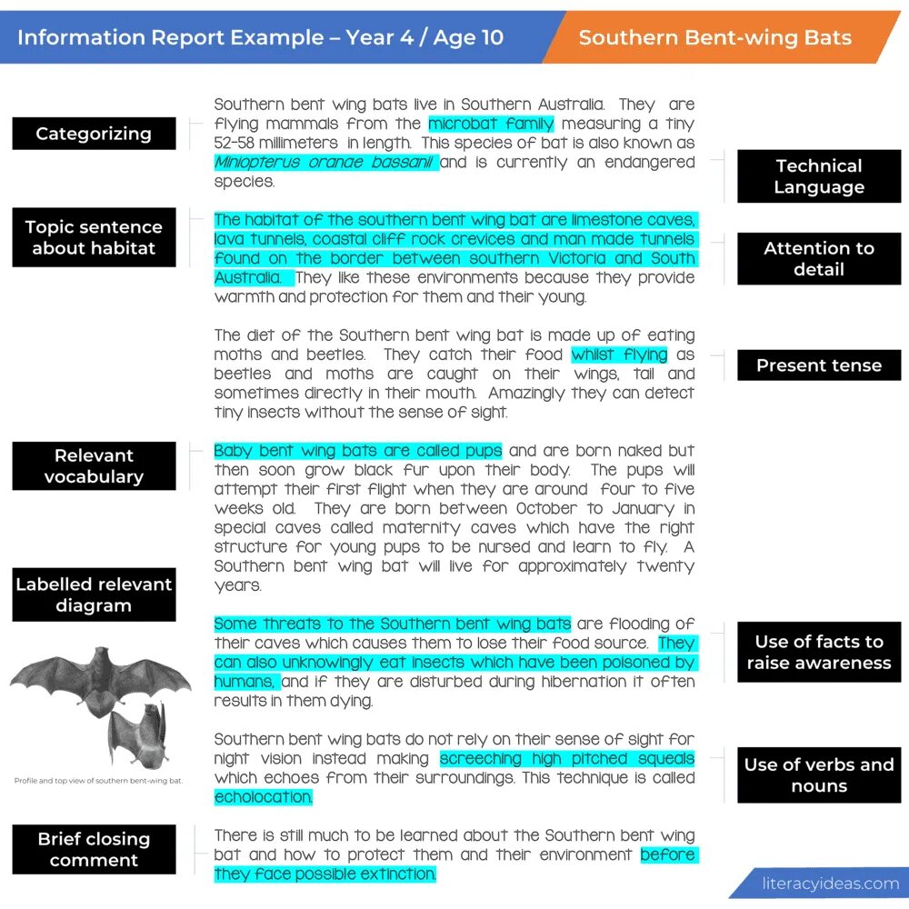 Report topics. Report пример. Information Report examples. How to write an informational Report. TPS Report примеры.