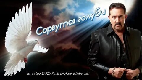 Бутырка голуби