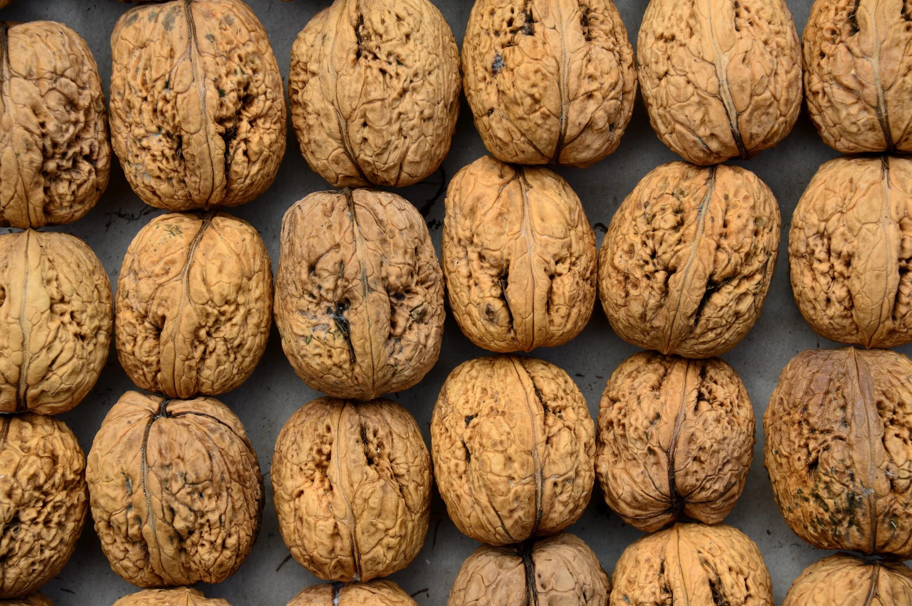 скорлупа от орехов для декора.