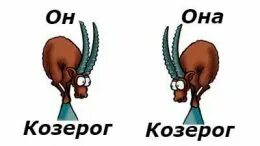 Она козерог и он козерог совместимость. Она козерог и он козерог совместимость