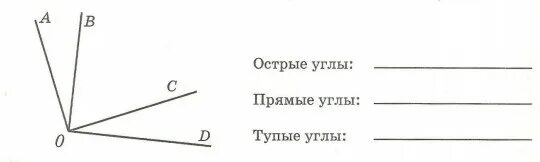 Сколько на чертеже прямых острых тупых углов. Определи острые прямые и тупые углы.