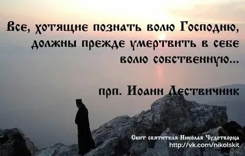 Волю да это