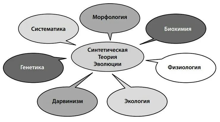 Тема синтетическая теория эволюции. Синтетическая теория эволюции. Синтетическая теория эволюции это теория. Современная теория эволюции. Становление синтетической теории эволюции.