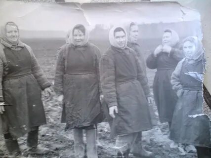 Погода в бояркино