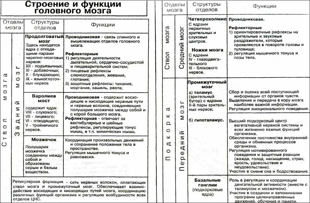 Головной мозг система органов и функции. Таблица спинной и головной мозг строение и функции отделов мозга. строение и функции отделов цнс таблица. отделы головного мозга структура и функции таблица. таблица отделы головного мозга и их функции и строение.