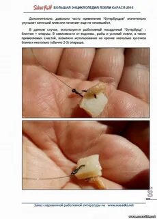 Каким крючком ловить