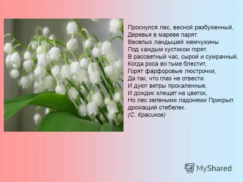 сочинение весна в лесу. ожил под теплым весенним солнцем огромный лесной дом муравейник. я пришел к тебе из леса рассказать что солнце встало. сочинение весна в лесу. левитан март.