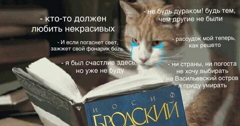 Как не быть дураком