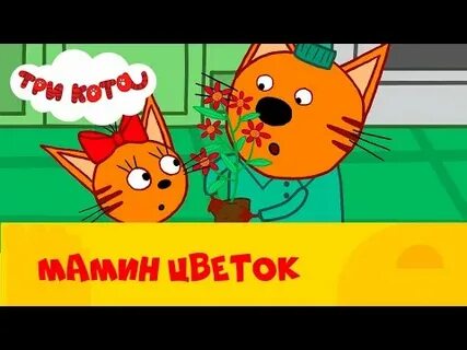 Три кота цветы
