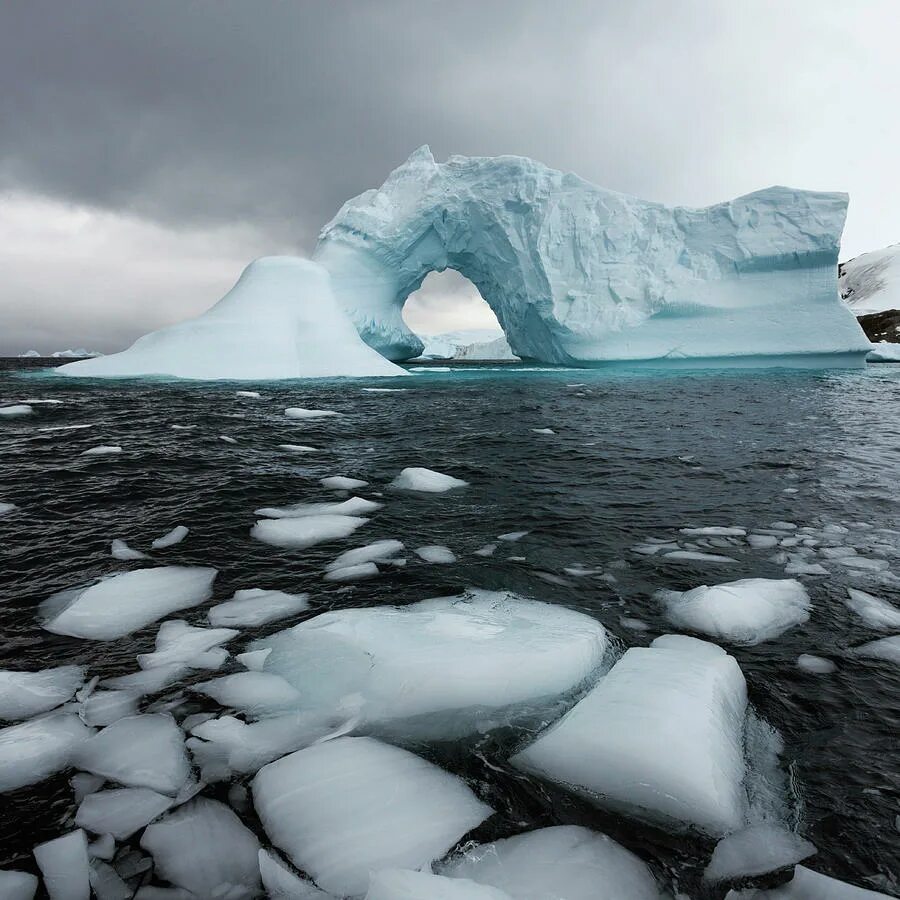 Антарктида фото. Antarctica отзывы. Antarctica отзывы. Гляциология антарктиды. Antarctica отзывы.
