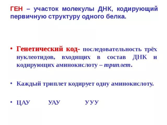 Одну аминокислоту молекулы белка кодирует