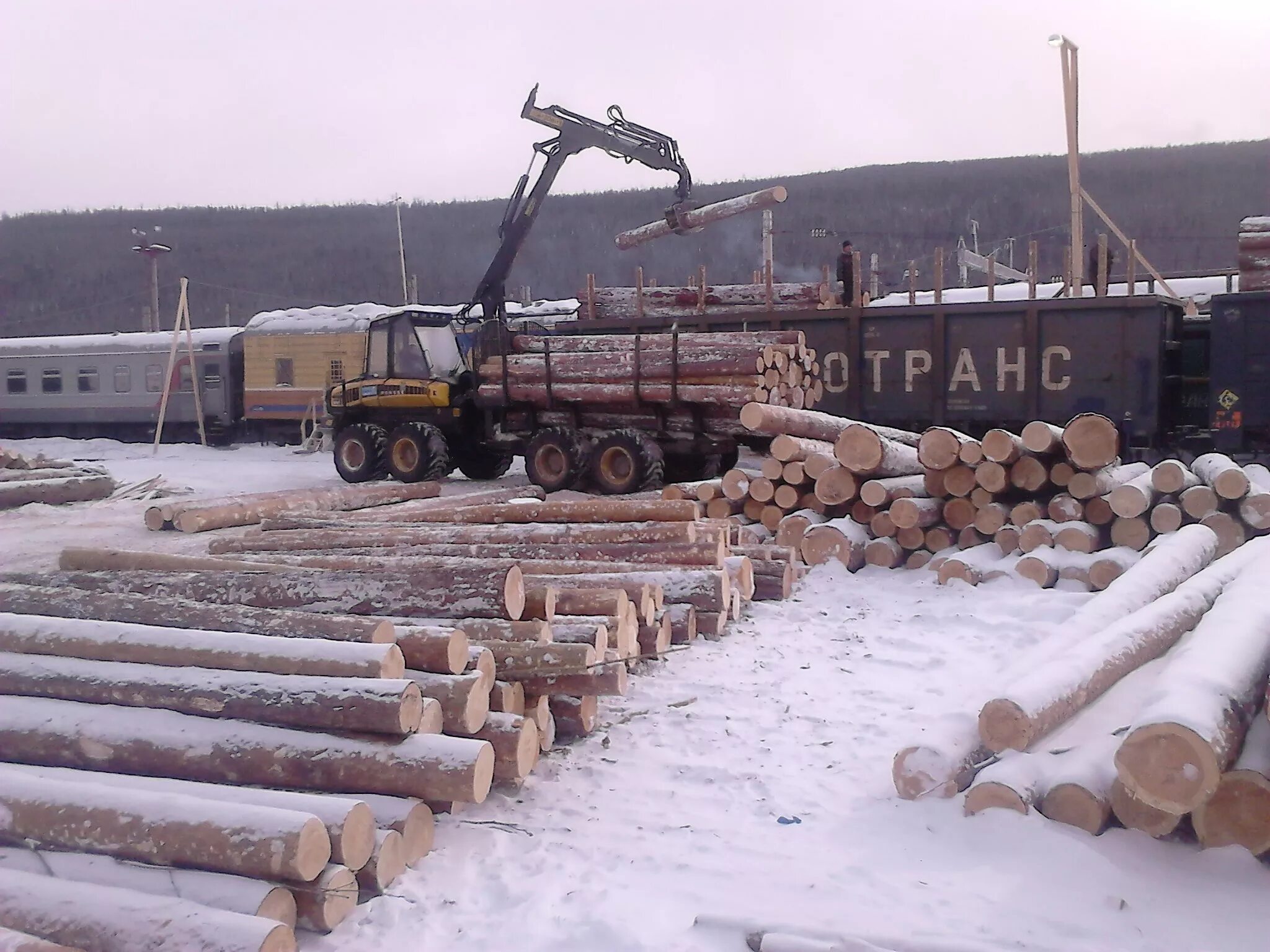 камаз 43118 лесовоз с манипулятором. камаз 43118 лесовоз в лесу весь грязный. марий эл лесовозы. камаз лесовоз груженый. бу лесовоз марий эл.