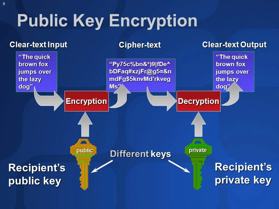 Public Key. Ключи шифрования SSL Cipher. Public private Key encryption. Public Key Scalar.