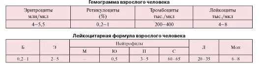 Показатели крови гемограмма. Гемограмма крови здорового человека. Нормальные показатели гемограммы у взрослых людей. Лейкоцитарная формула микроскопия. Нормохромная анемия картина крови.
