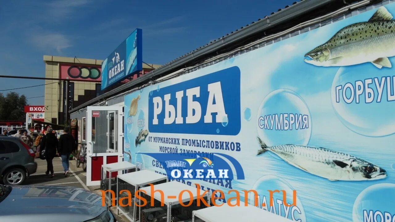 Океан магазин рыбы. Океан магазин рыбы и морепродуктов Краснодар. Сеть рыбных магазинов океан. Рыбный наша океан магазин.