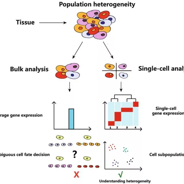 Single Cell Analysis. Single Cell субнафтика. Flow Cytometry Analysis Dublets Single Cells. Singlecell метод в науке.