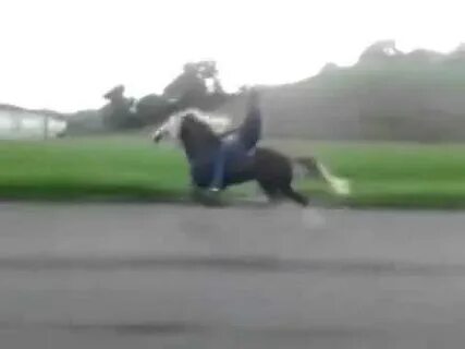 Лошадь развивает силу 600