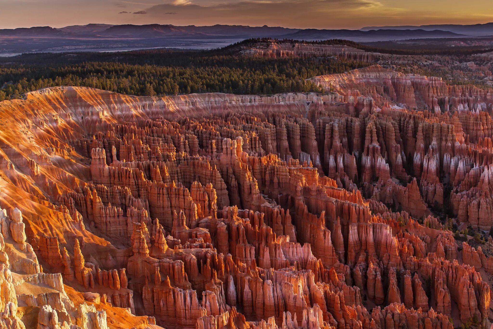 National park usa. Северная Америка каньон Колорадо. Йеллоустонский национальный парк каменный лес. Национальный парк Брайс каньон (Bryce Canyon). Йеллоустонский национальный парк каньоны.