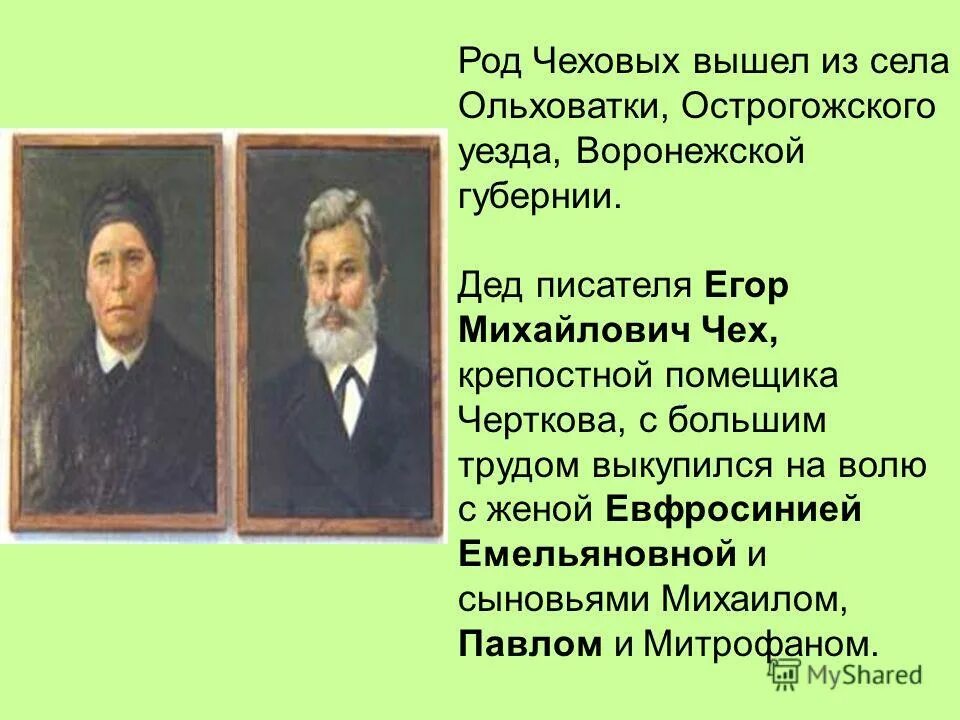 род чехова. род чехова. род чеховых. род чехова. род чехова.