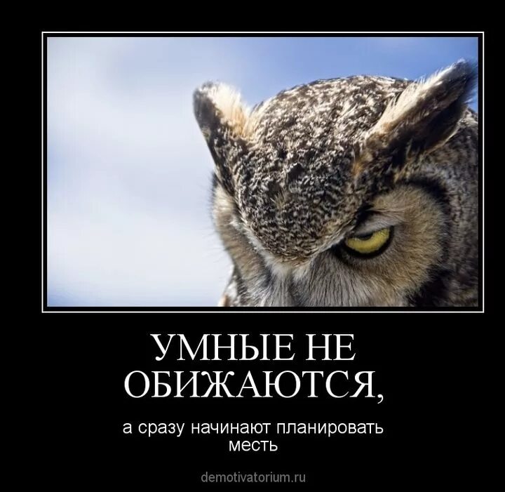 Мстя картинки