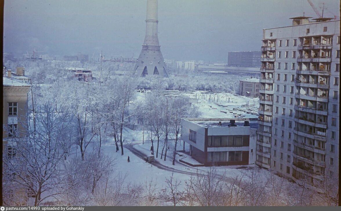 Село останкино. Москва район Останкино в 60-е годы. Деревня Останкино Москва. Москва Телецентр Останкино СССР. Село Останкино Нижегородская область.