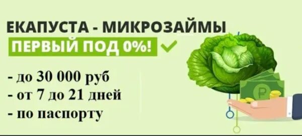 Номер е капусты горячей. Е капуста. Микрозайм е капуста. Микрозаймы капуста.