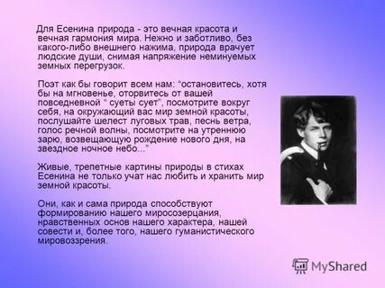 Читательский дневник есенин
