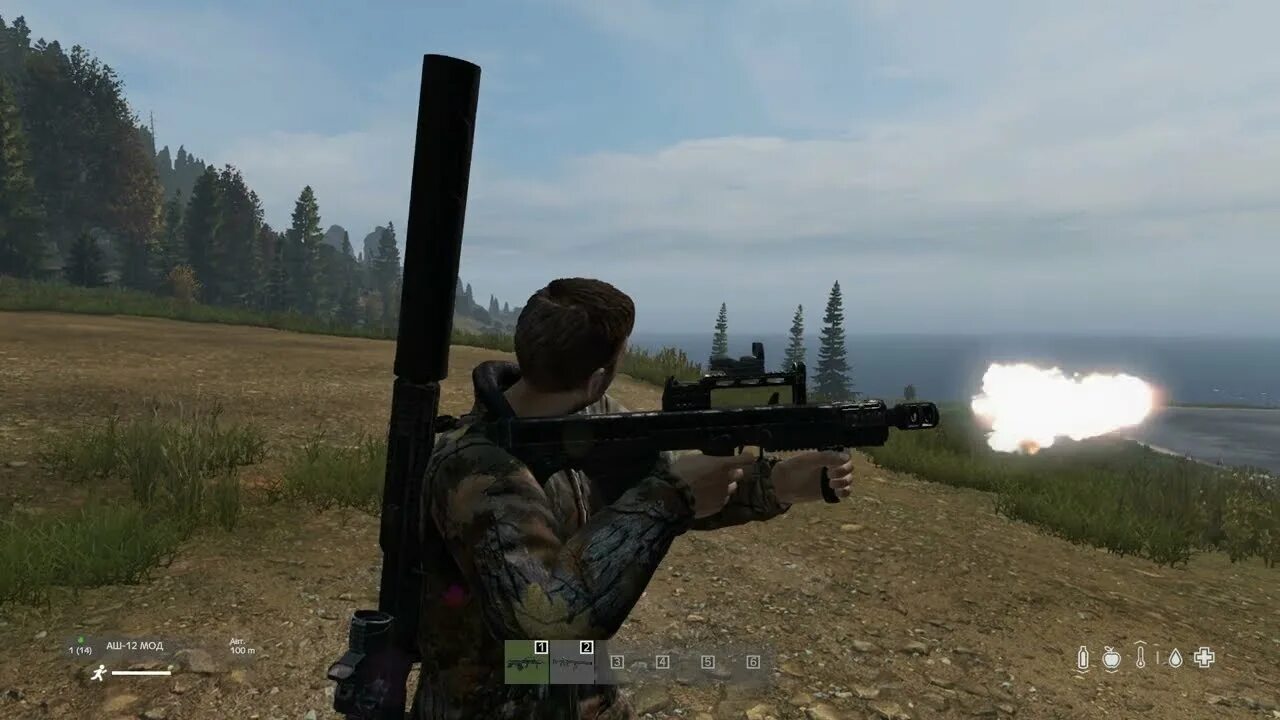 Аша 12. Аш-12 DAYZ. Аш-12 штурмовой автомат. DAYZ Raptor 12. Сайга 12к DAYZ.