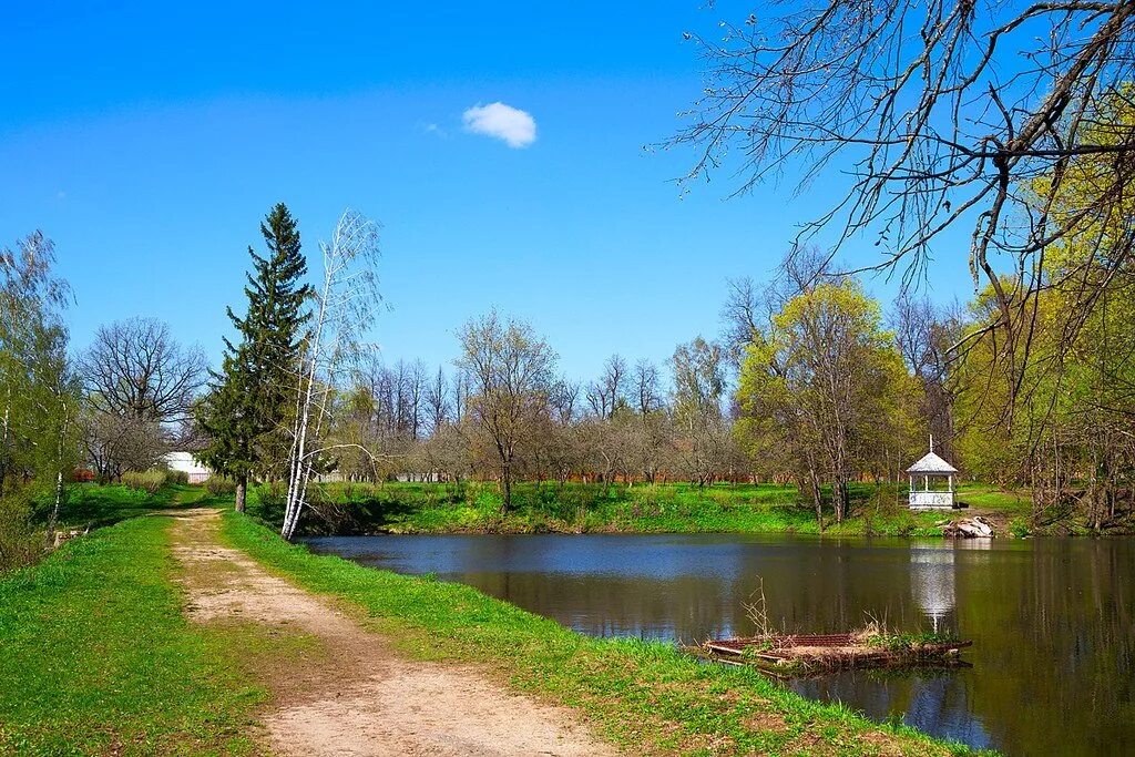 Большое болдино парк. Село большое Болдино Нижегородская область. Болдино усадьба. Усадебный парк Болдино. Пушкинское Болдино парк.