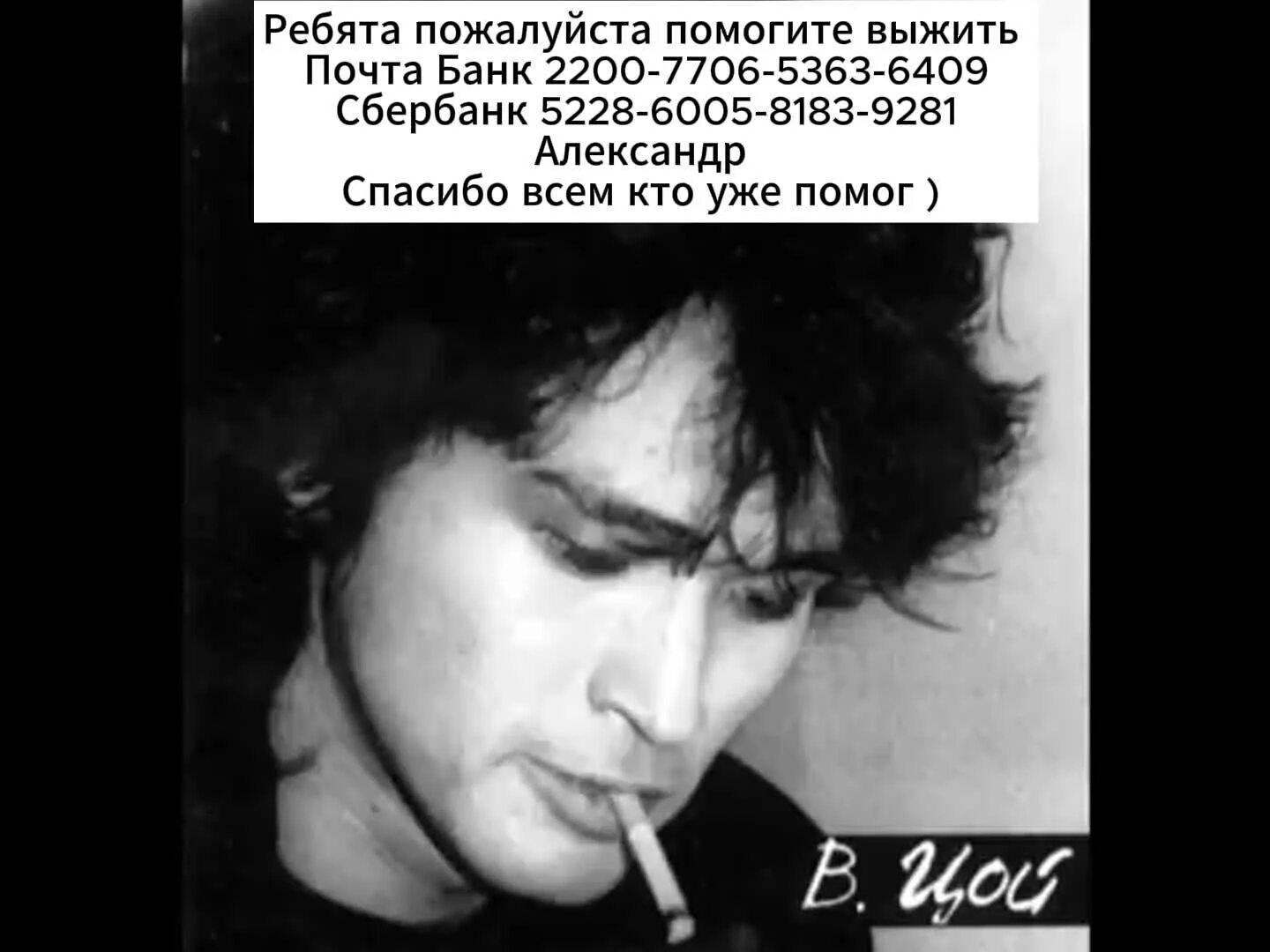 Песня цоя пыяло. Виктор цой фото. Виктор цой муравейник. Песня цоя пыяло. Виктор цой.