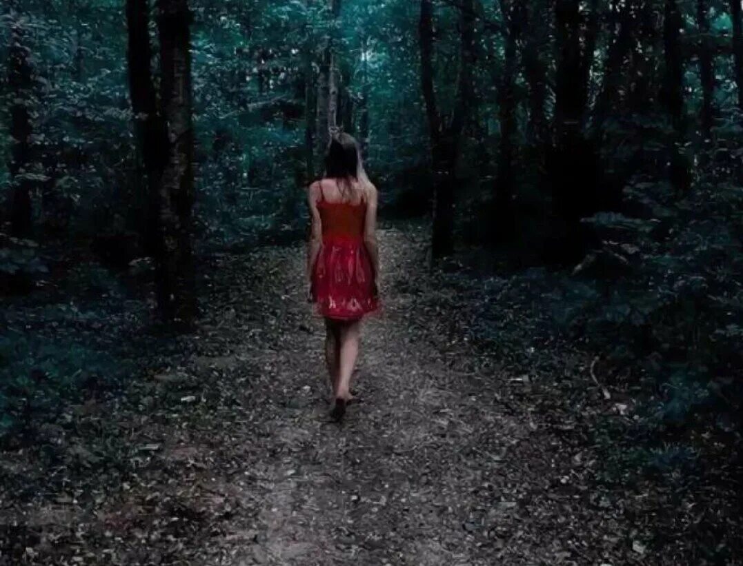 Девушка убегает в лес. Девушка ночью в лесу. Девушка в темном лесу. Девушка бежит в лесу. Девушка сбежала от маньяка