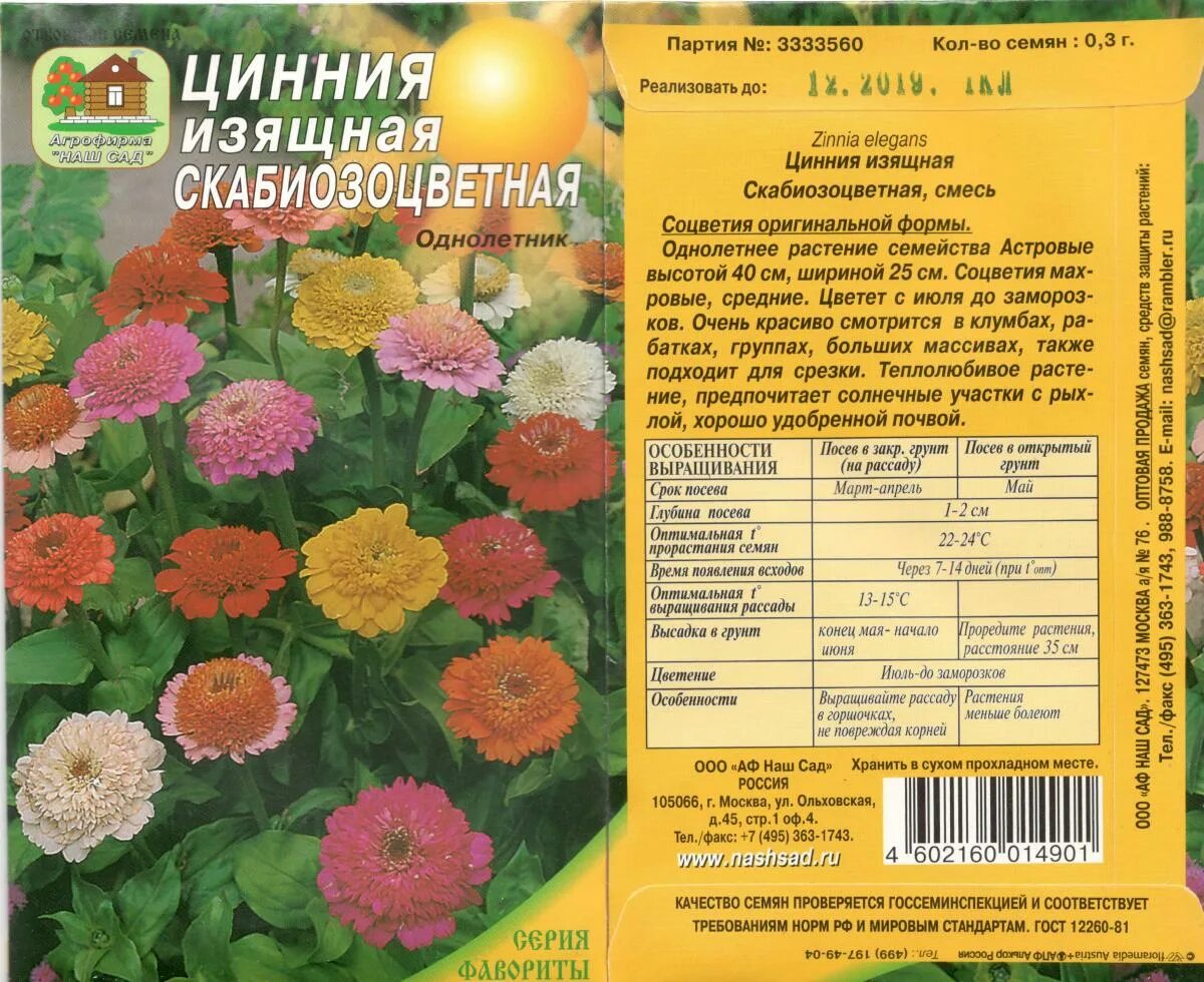 Цинния посев семян на рассаду. Цинния скабиозовидная. Цинния скабиозовидная смесь. Циния скабиозоцветная. Цинния Мишутка.