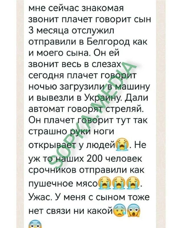 Пастухов тг