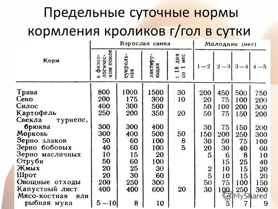 Сколько голов с 1 кг. Суточные нормы кормления кроликов. Рацион кормления кроликов таблица. Кролик корм таблица. Норма комбикорма для крольчат.