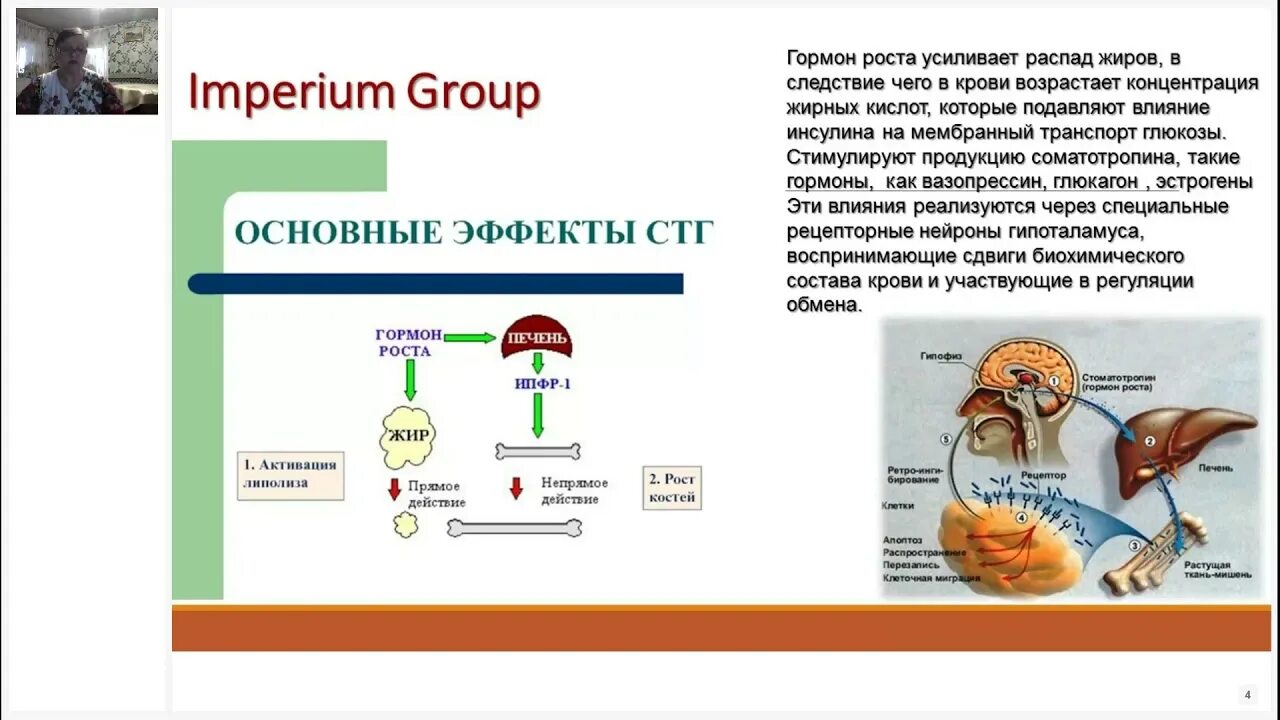 Гормон роста и гормоны щитовидной. Гормон роста. Соматотропин гормон роста. Основные гормоны роста;. Гормон роста эффект.